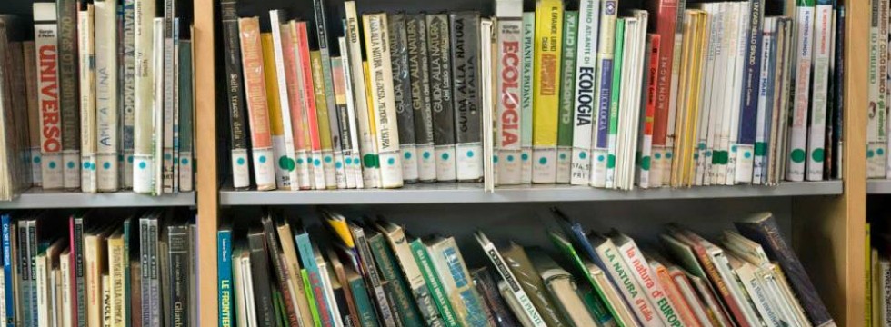 1374838_733001726717190_61629663_n