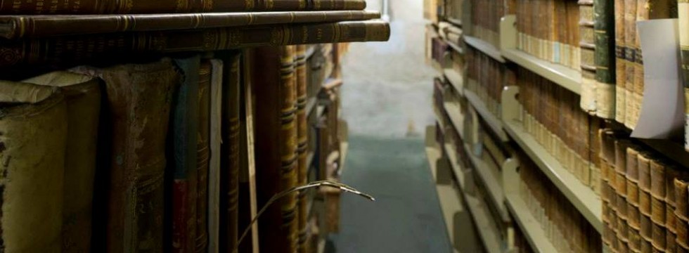 1380551_733000433383986_1779285899_n